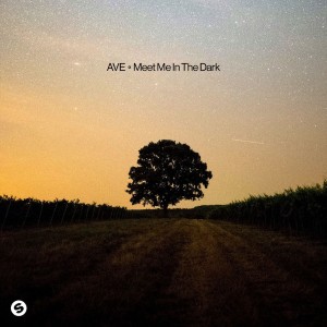 Ave — Meet Me In The Dark | WRadio