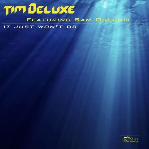 Tim Deluxe — It Just Won't Do | WRadio